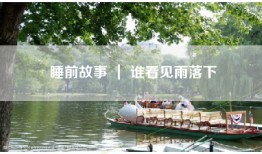 睡前故事 ｜ 谁看见雨落下