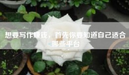 想要写作赚钱，首先你要知道自己适合哪些平台