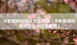 手机删掉的照片怎么找回（手机删掉的照片怎么找回来免费）