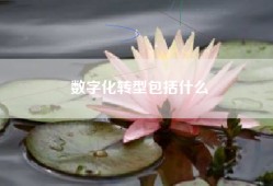 数字化转型包括什么