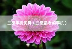 三星手机优势（三星最老的手机）