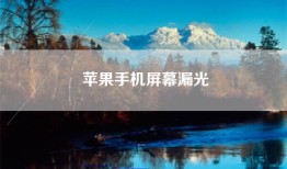 苹果手机屏幕漏光