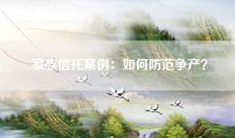 家族信托案例：如何防范争产？