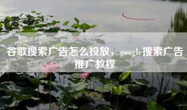 谷歌搜索广告怎么投放，google搜索广告推广教程