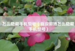 怎么隐藏手机型号（新浪微博怎么隐藏手机型号）