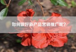 如何做好新产品营销推广呢？
