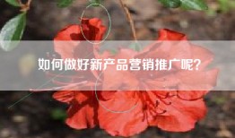 如何做好新产品营销推广呢？