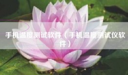 手机温度测试软件（手机温度测试仪软件）