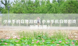 小米手机自带游戏（小米手机自带游戏加速在哪）