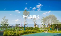 什么叫直投