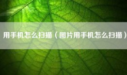 用手机怎么扫描（图片用手机怎么扫描）