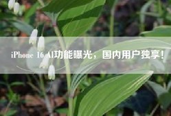 iPhone 16 AI功能曝光，国内用户独享！