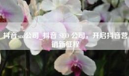 抖音seo公司_抖音 SEO 公司，开启抖音营销新征程