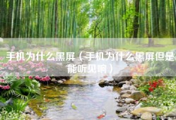 手机为什么黑屏（手机为什么黑屏但是能听见响）