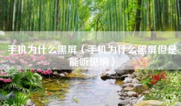 手机为什么黑屏（手机为什么黑屏但是能听见响）