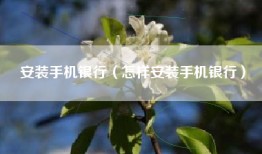 安装手机银行（怎样安装手机银行）