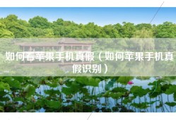 如何看苹果手机真假（如何苹果手机真假识别）