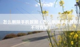 怎么删除手机数据（怎么删除手机数据不可恢复）