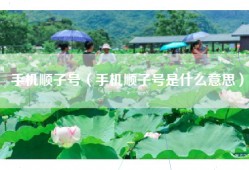 手机顺子号（手机顺子号是什么意思）