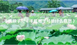 手机顺子号（手机顺子号是什么意思）
