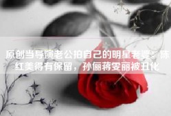 原创当导演老公拍自己的明星老婆：陈红美得有保留，孙俪蒋雯丽被丑化