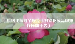 手机钢化膜哪个好（手机钢化膜品牌排行榜前十名）