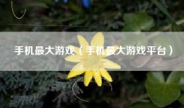 手机最大游戏（手机最大游戏平台）