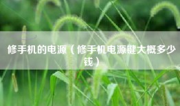 修手机的电源（修手机电源键大概多少钱）