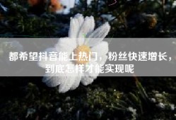 都希望抖音能上热门，粉丝快速增长，到底怎样才能实现呢