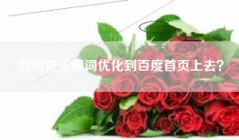 如何把关键词优化到百度首页上去？