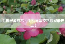 手机屏幕技术（手机屏幕技术哪家最先进）