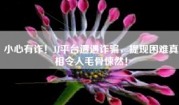 小心有诈！JJ平台遭遇诈骗，提现困难真相令人毛骨悚然！