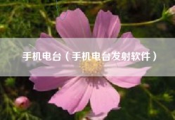手机电台（手机电台发射软件）