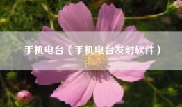 手机电台（手机电台发射软件）