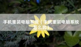 手机重装电脑系统（手机重装电脑系统怎么装）