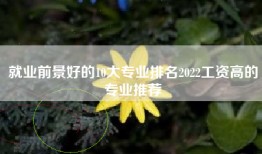 就业前景好的10大专业排名2022工资高的专业推荐