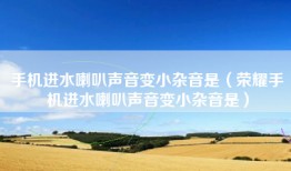 手机进水喇叭声音变小杂音是（荣耀手机进水喇叭声音变小杂音是）