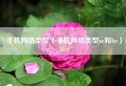 手机网络类型（手机网络类型nr和lte）