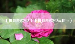 手机网络类型（手机网络类型nr和lte）