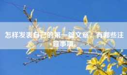 怎样发表自己的第一篇文章，有哪些注意事项。