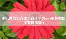 手机微信没有提示音（华为nova手机微信没有提示音）