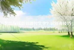 怎么在线识别图片文字？识别有技巧