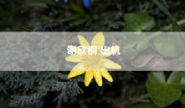 谢欣桐 出轨