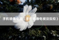 手机镜像电视（手机镜像电视没反应）