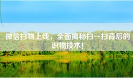 微信扫物上线，全面揭秘扫一扫背后的识物技术！