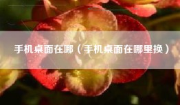 手机桌面在哪（手机桌面在哪里换）