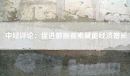 中经评论：促进数据要素赋能经济增长