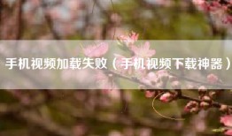 手机视频加载失败（手机视频下载神器）
