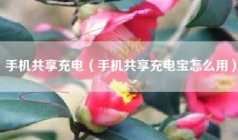 手机共享充电（手机共享充电宝怎么用）