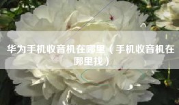 华为手机收音机在哪里（手机收音机在哪里找）